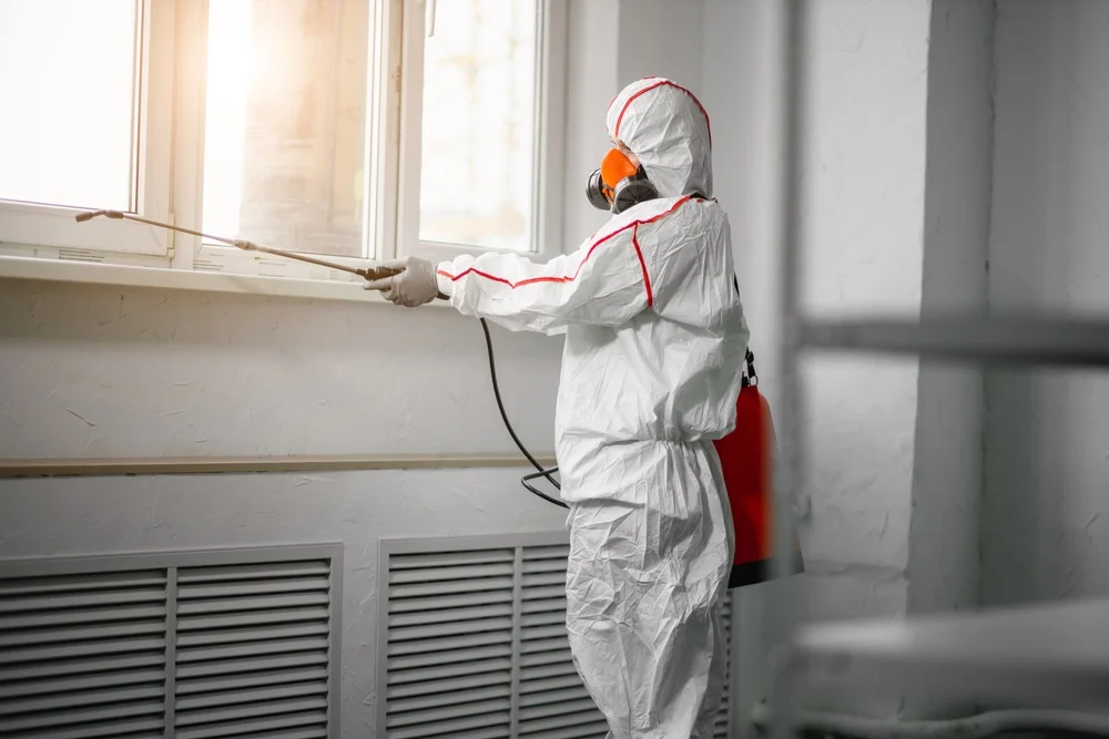 Professional mold remediation services in Curtice, OH